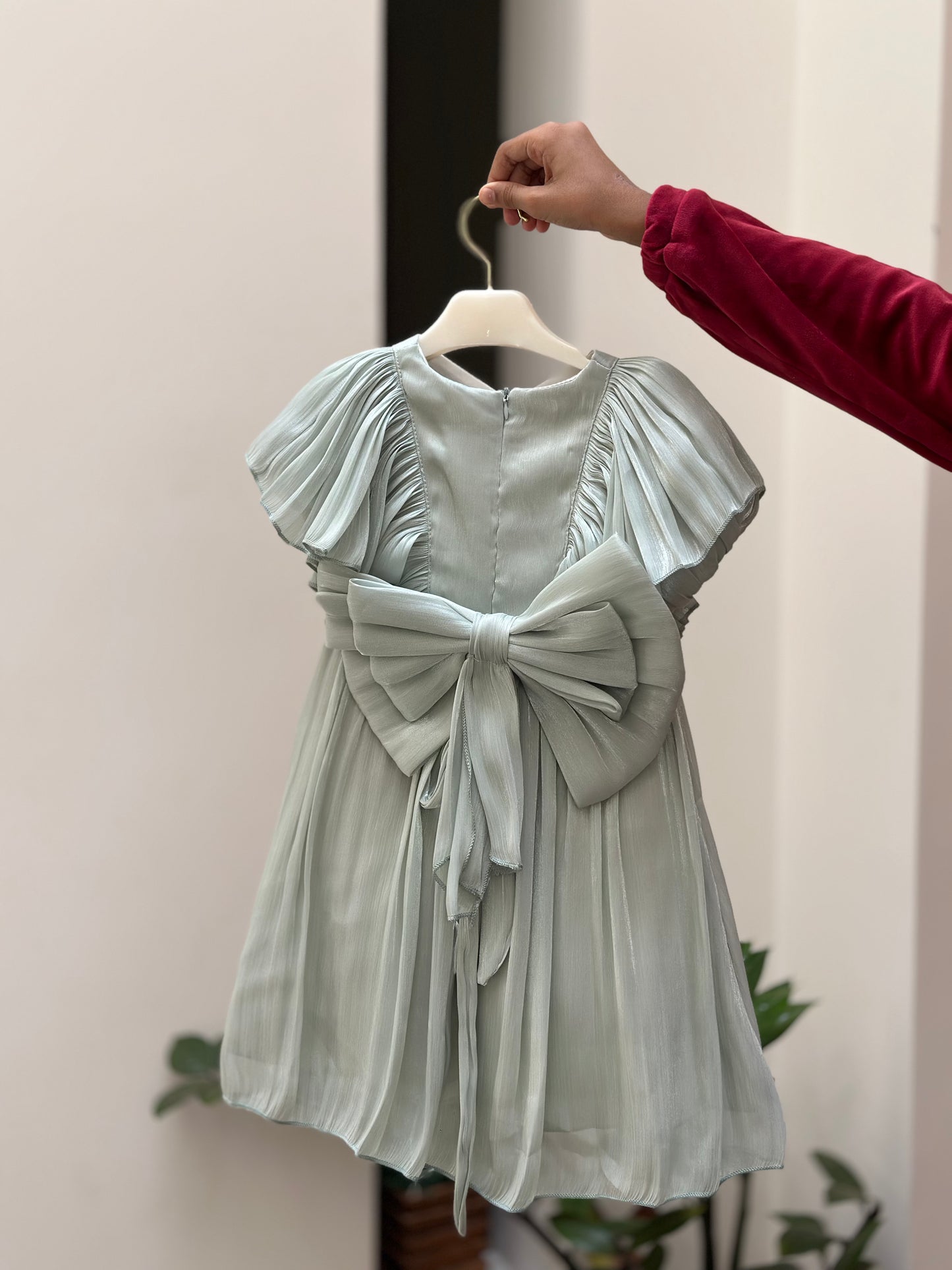 Flutter Sleeved Fit and Flare Frock