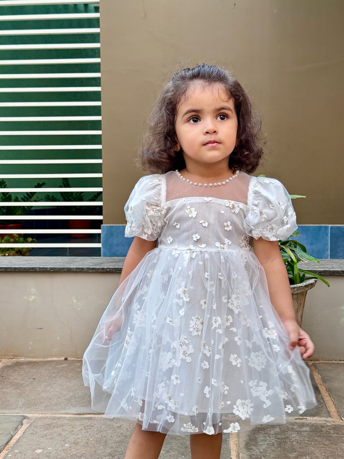 Baby Girl Embroidered Tulle Party Dress