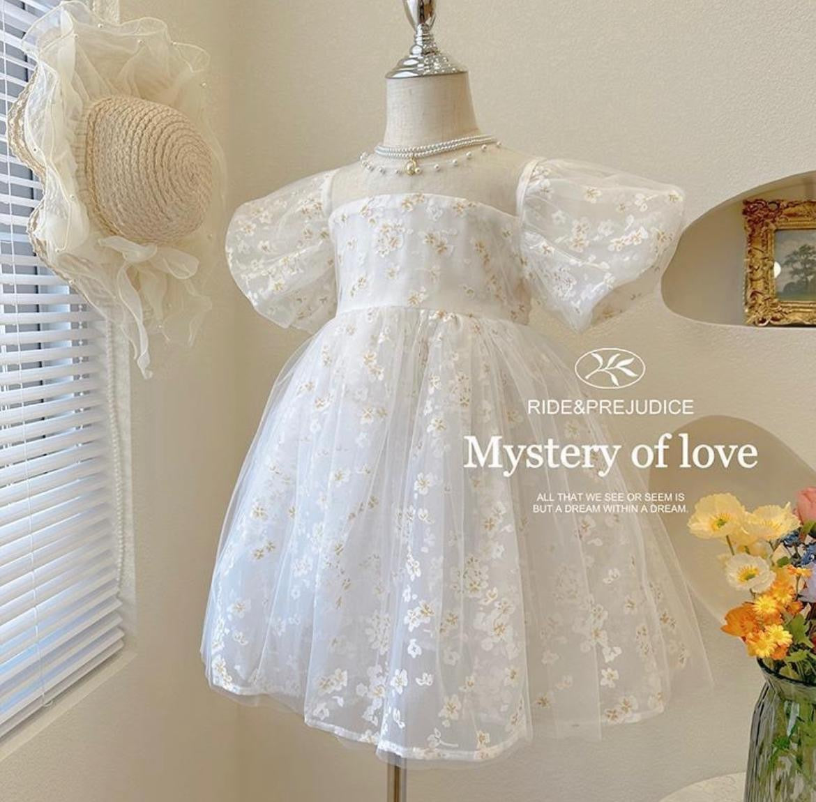 Baby Girl Embroidered Tulle Party Dress