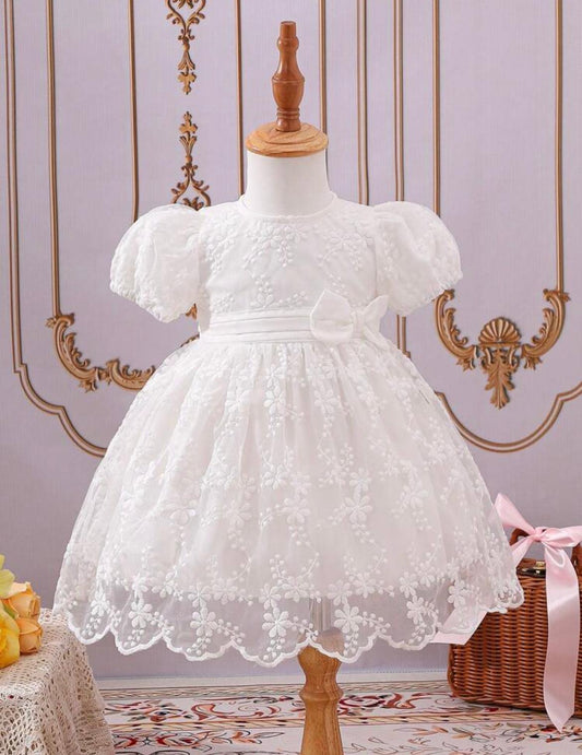 Embroidered Lace Party Dress for Baby Girls