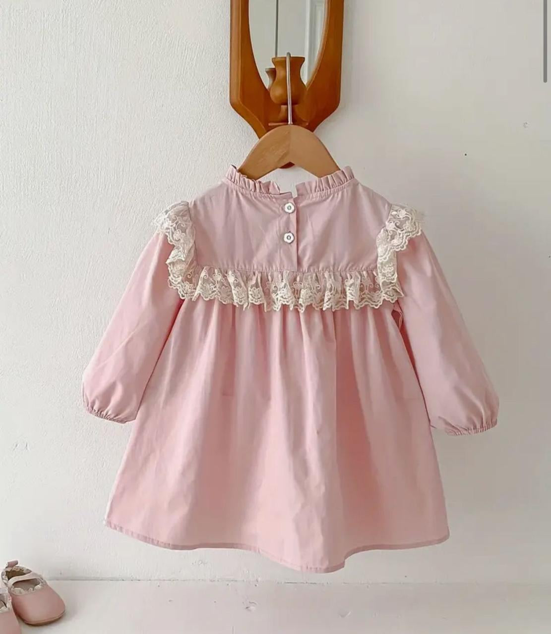 Blush Petals Embroidered Lace Dress