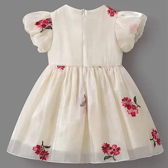 Midnight Rose Shimmer Organza Dress