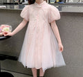 Embroidered Tulle Party Dress for Girls