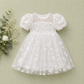 Baby Girl Embroidered Tulle Party Dress