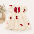 Midnight Rose Shimmer Organza Dress