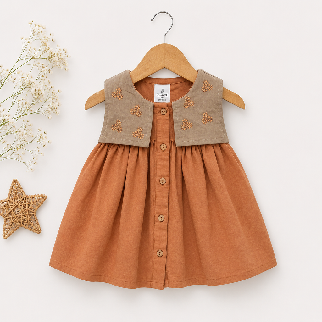 Girls Embroidered Collar Cotton Dress – Terracotta & Olive | Premium Casual Wear