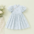 Girls’ Puff Sleeve Lace Dress – Elegant Kids Partywear