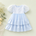 Blue Organza Party Dress for Girls – Elegant Occasionwear