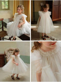Girls’ Tulle Party Dress – Toddler & Little Kids
