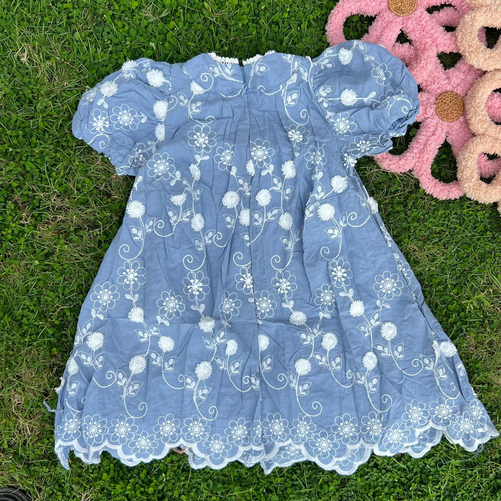 Floral Embroidered Puff Sleeve Frock, Blue & Red